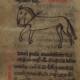 The Horse in Medieval Law Seminar