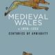 Medieval Wales c.1050–1332: Centuries of Ambiguity (2019)
