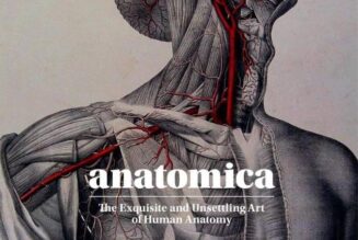 Anatomica: The Exquisite and Unsettling Art of Human Anatomy (2020)
