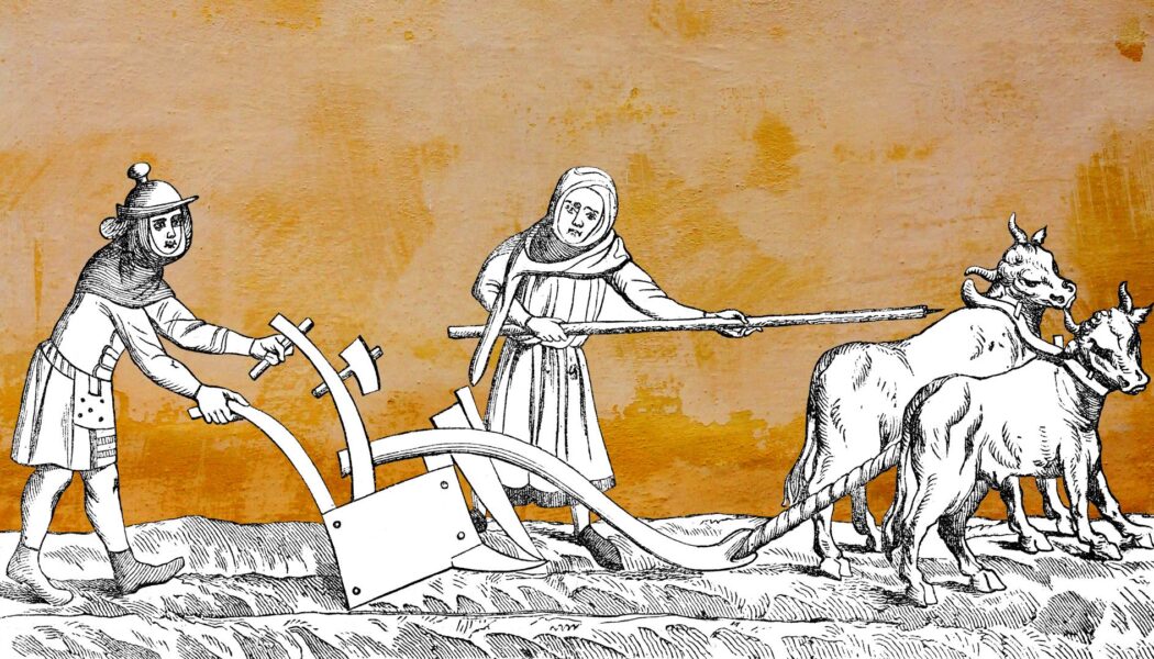 The Medieval Agricultural Revolution: New evidence
