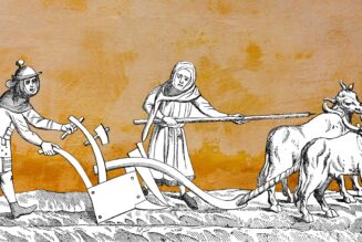 The Medieval Agricultural Revolution: New evidence